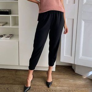 Aritzia Babaton Dexter Pant Small